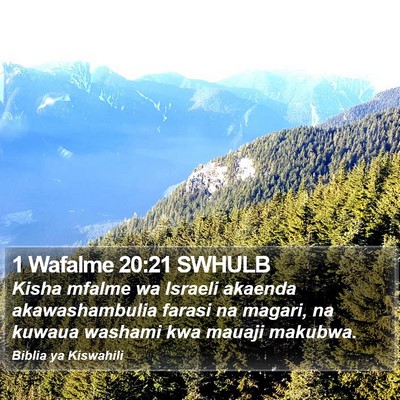 1 Wafalme 20:21 SWHULB Bible Verse Image