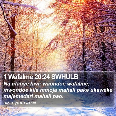 1 Wafalme 20:24 SWHULB Bible Verse Image