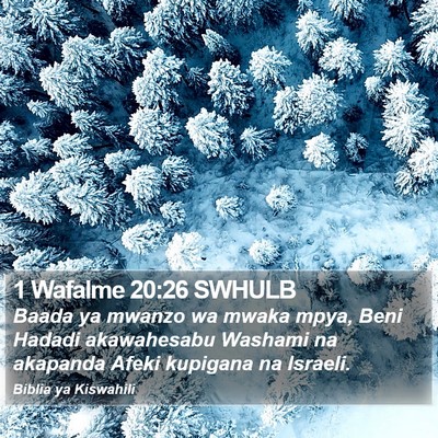 1 Wafalme 20:26 SWHULB Bible Verse Image