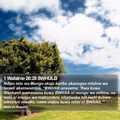 1 Wafalme 20:28 SWHULB Bible Verse Image