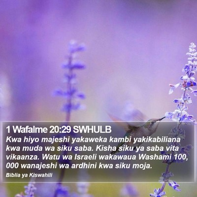 1 Wafalme 20:29 SWHULB Bible Verse Image