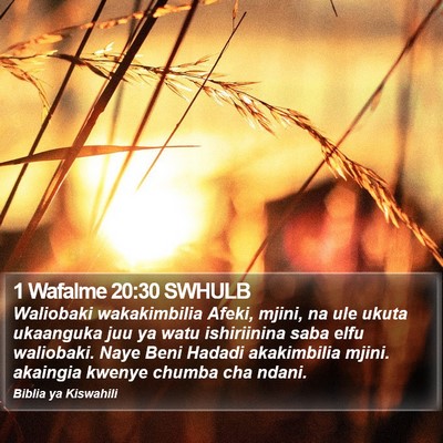 1 Wafalme 20:30 SWHULB Bible Verse Image