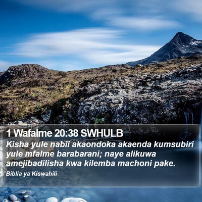 1 Wafalme 20:38 SWHULB Bible Verse Image