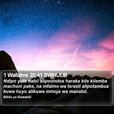 1 Wafalme 20:41 SWHULB Bible Verse Image