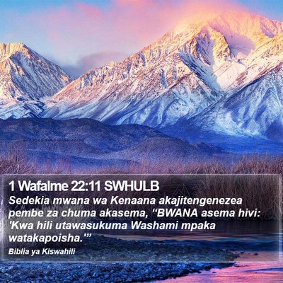 1 Wafalme 22:11 SWHULB Bible Verse Image