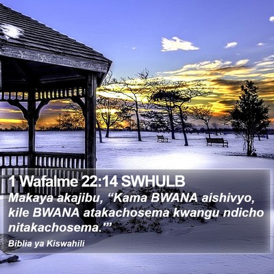 1 Wafalme 22:14 SWHULB Bible Verse Image