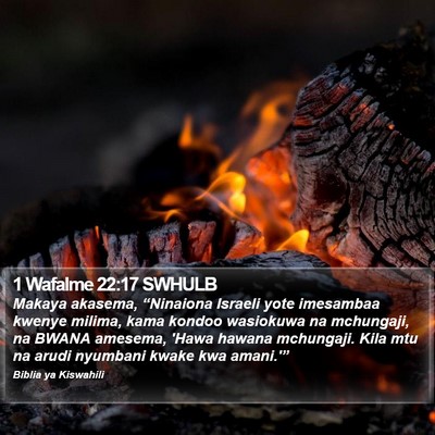 1 Wafalme 22:17 SWHULB Bible Verse Image