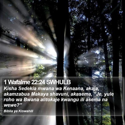 1 Wafalme 22:24 SWHULB Bible Verse Image