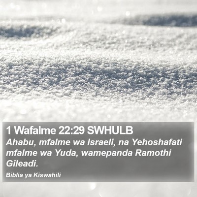 1 Wafalme 22:29 SWHULB Bible Verse Image