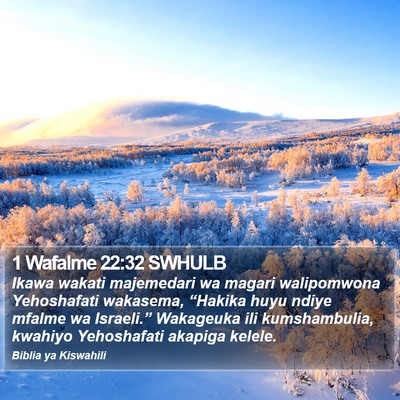 1 Wafalme 22:32 SWHULB Bible Verse Image