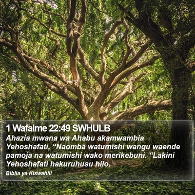 1 Wafalme 22:49 SWHULB Bible Verse Image