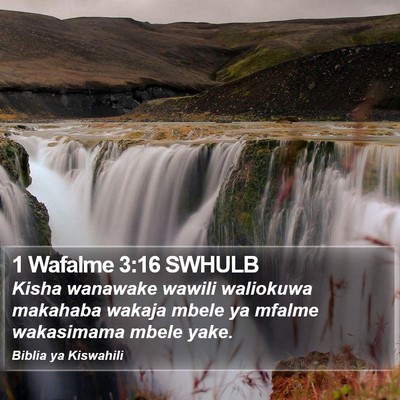 1 Wafalme 3:16 SWHULB Bible Verse Image
