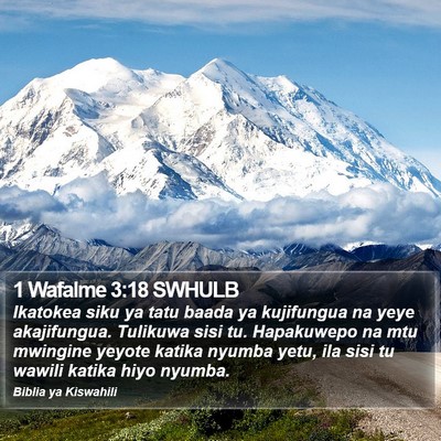 1 Wafalme 3:18 SWHULB Bible Verse Image