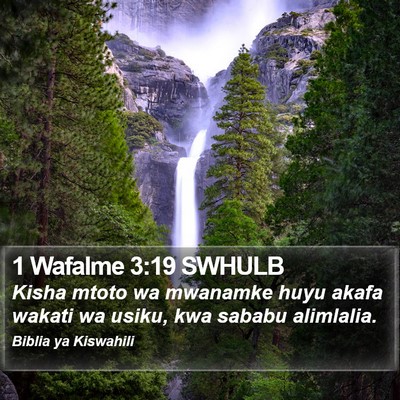1 Wafalme 3:19 SWHULB Bible Verse Image