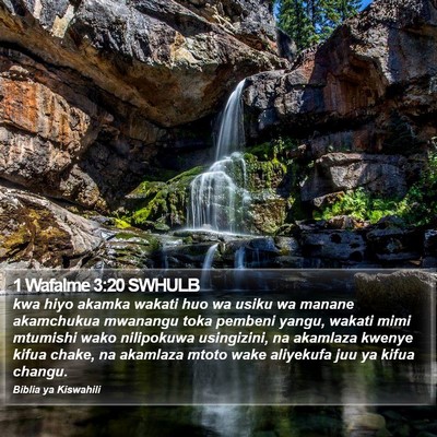 1 Wafalme 3:20 SWHULB Bible Verse Image