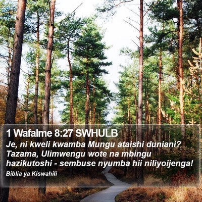 1 Wafalme 8:27 SWHULB Bible Verse Image
