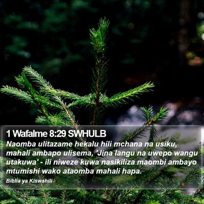 1 Wafalme 8:29 SWHULB Bible Verse Image
