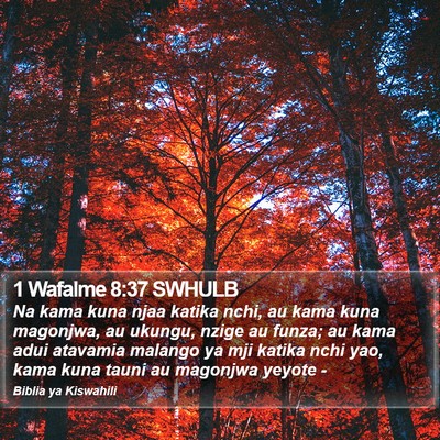 1 Wafalme 8:37 SWHULB Bible Verse Image