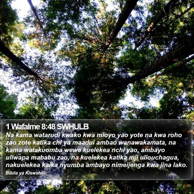 1 Wafalme 8:48 SWHULB Bible Verse Image