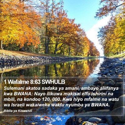 1 Wafalme 8:63 SWHULB Bible Verse Image