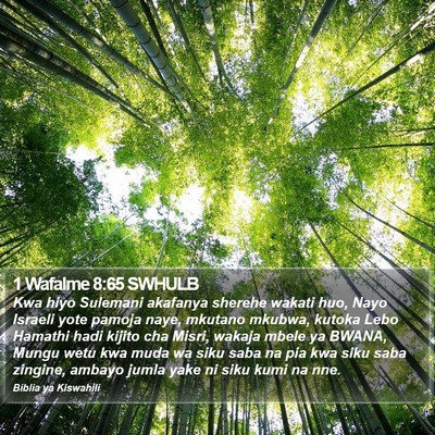 1 Wafalme 8:65 SWHULB Bible Verse Image