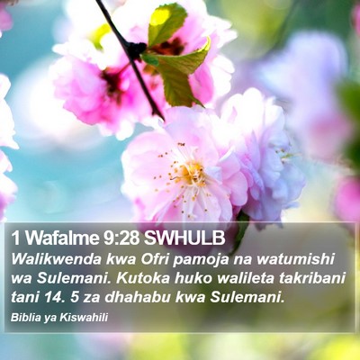 1 Wafalme 9:28 SWHULB Bible Verse Image