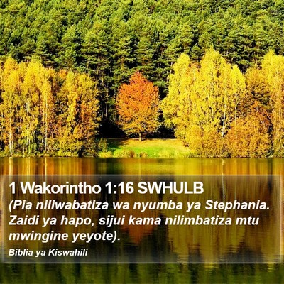 1 Wakorintho 1:16 SWHULB Bible Verse Image