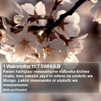1 Wakorintho 11:7 SWHULB Bible Verse Image