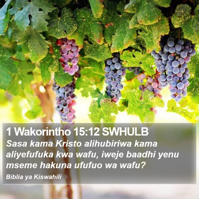 1 Wakorintho 15:12 SWHULB Bible Verse Image