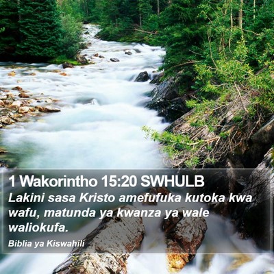 1 Wakorintho 15:20 SWHULB Bible Verse Image