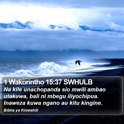 1 Wakorintho 15:37 SWHULB Bible Verse Image