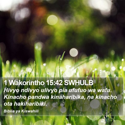 1 Wakorintho 15:42 SWHULB Bible Verse Image