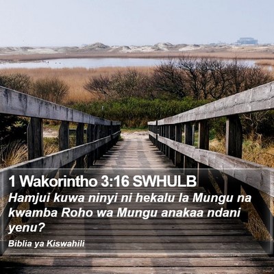 1 Wakorintho 3:16 SWHULB Bible Verse Image