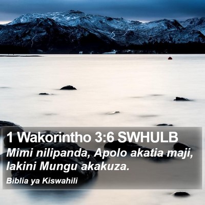 1 Wakorintho 3:6 SWHULB Bible Verse Image