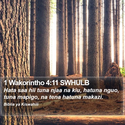1 Wakorintho 4:11 SWHULB Bible Verse Image