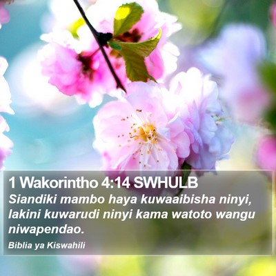 1 Wakorintho 4:14 SWHULB Bible Verse Image