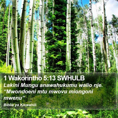 1 Wakorintho 5:13 SWHULB Bible Verse Image