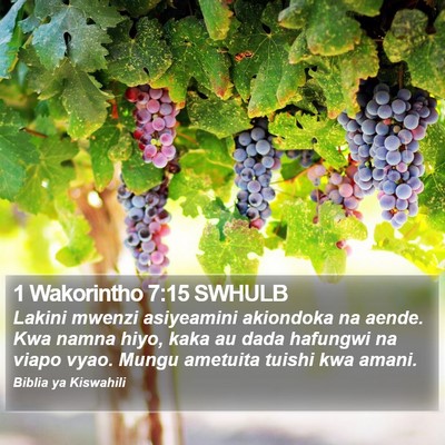 1 Wakorintho 7:15 SWHULB Bible Verse Image