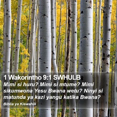 1 Wakorintho 9:1 SWHULB Bible Verse Image