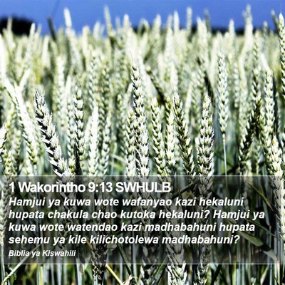1 Wakorintho 9:13 SWHULB Bible Verse Image