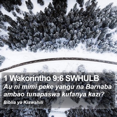 1 Wakorintho 9:6 SWHULB Bible Verse Image