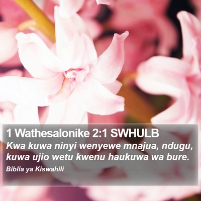 1 Wathesalonike 2:1 SWHULB Bible Verse Image