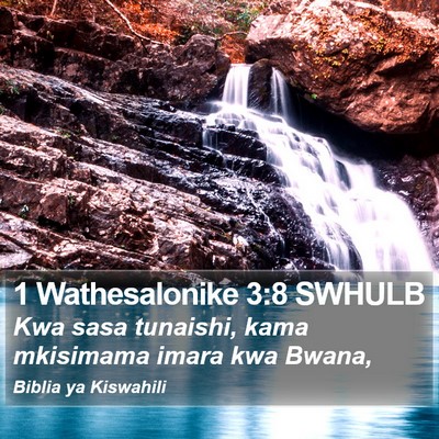 1 Wathesalonike 3:8 SWHULB Bible Verse Image