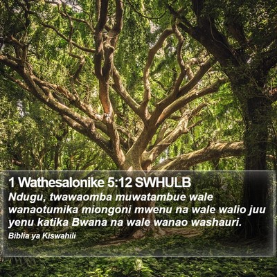1 Wathesalonike 5:12 SWHULB Bible Verse Image