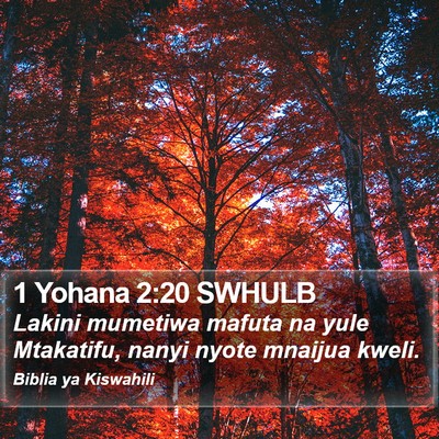 1 Yohana 2:20 SWHULB Bible Verse Image