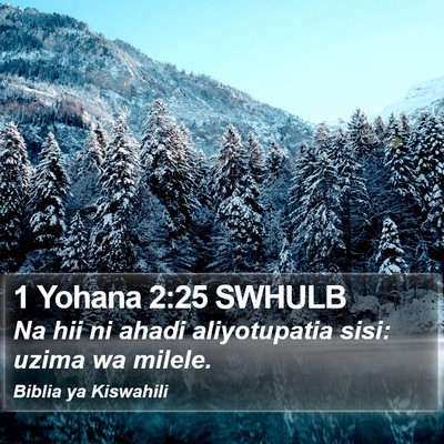 1 Yohana 2:25 SWHULB Bible Verse Image