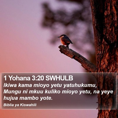 1 Yohana 3:20 SWHULB Bible Verse Image