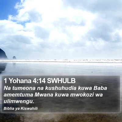 1 Yohana 4:14 SWHULB Bible Verse Image