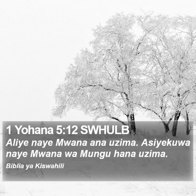 1 Yohana 5:12 SWHULB Bible Verse Image