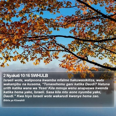 2 Nyakati 10:16 SWHULB Bible Verse Image